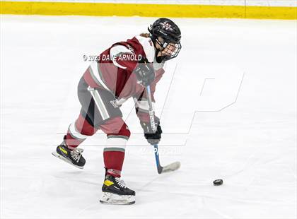 Thumbnail 1 in Worcester Academy vs. Proctor Academy (Watkins Invitational) photogallery.