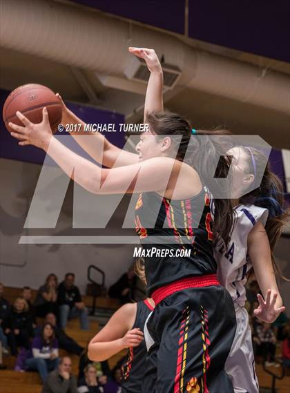 Thumbnail 2 in Chico @ Shasta photogallery.