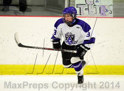 Thumbnail 3 in Trumbull @ North Branford photogallery.