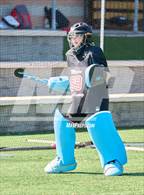 Photo from the gallery "Redwood @ Marin Academy"