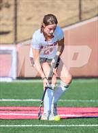 Photo from the gallery "Redwood @ Marin Academy"
