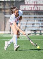 Photo from the gallery "Redwood @ Marin Academy"