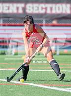 Photo from the gallery "Redwood @ Marin Academy"