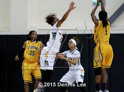 Thumbnail 2 in Bishop O'Dowd vs. Vanden (CIF NorCal Regional D3 Final) photogallery.