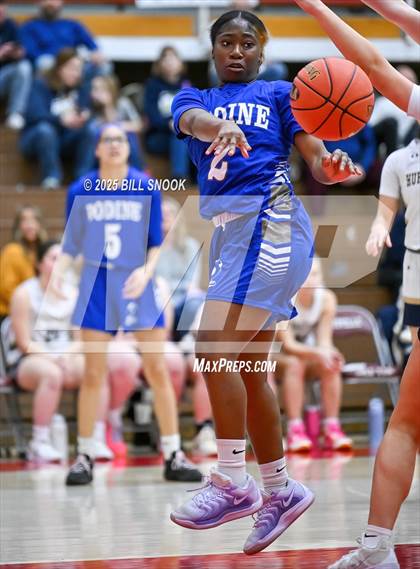 Thumbnail 1 in Bodine @ Schuylkill Haven (PIAA 3A Round 1) photogallery.