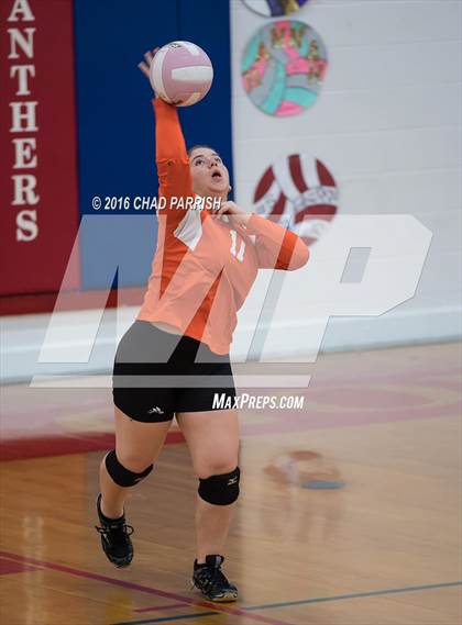 Thumbnail 2 in Mineola @ Alba-Golden photogallery.