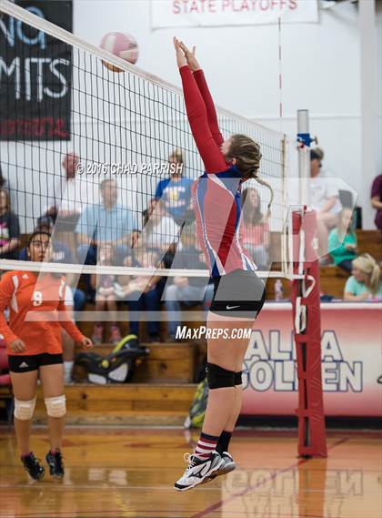 Thumbnail 2 in Mineola @ Alba-Golden photogallery.