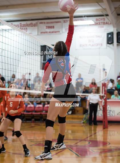 Thumbnail 2 in Mineola @ Alba-Golden photogallery.