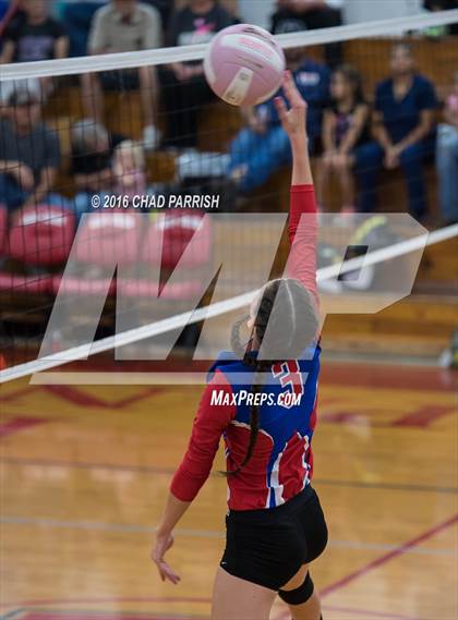 Thumbnail 2 in Mineola @ Alba-Golden photogallery.