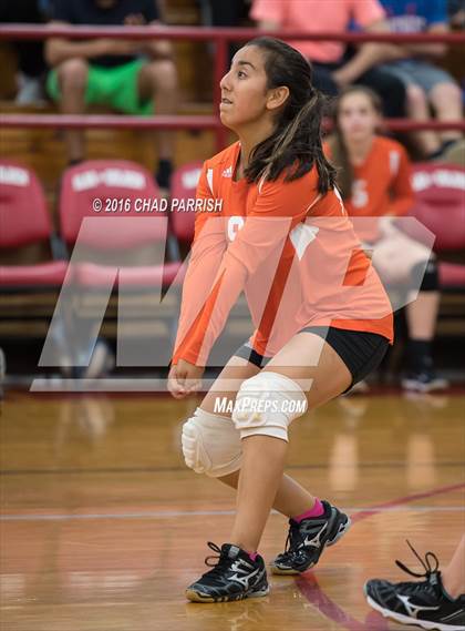 Thumbnail 1 in Mineola @ Alba-Golden photogallery.