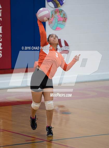 Thumbnail 1 in Mineola @ Alba-Golden photogallery.