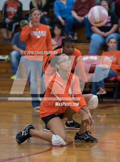 Thumbnail 3 in Mineola @ Alba-Golden photogallery.