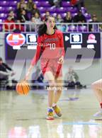 Photo from the gallery "Springville vs. Bountiful (UHSAA 5A Final)"