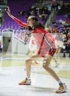 Photo from the gallery "Springville vs. Bountiful (UHSAA 5A Final)"