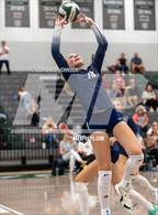 Photo from the gallery "Chaparral @ Fossil Ridge"