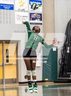 Photo from the gallery "Chaparral @ Fossil Ridge"