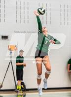 Photo from the gallery "Chaparral @ Fossil Ridge"