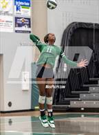 Photo from the gallery "Chaparral @ Fossil Ridge"