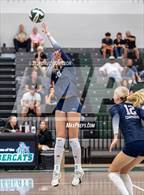 Photo from the gallery "Chaparral @ Fossil Ridge"
