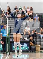 Photo from the gallery "Chaparral @ Fossil Ridge"