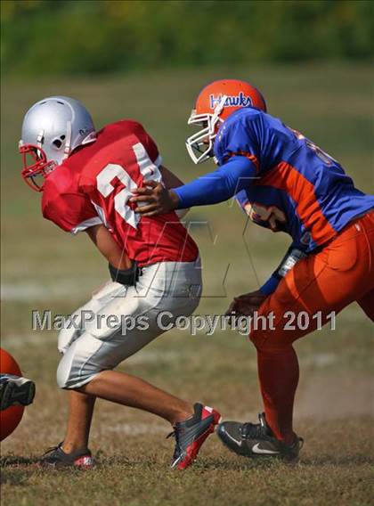 Thumbnail 1 in Tolland @ Bloomfield photogallery.