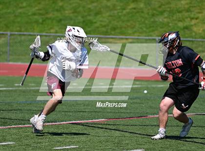 Thumbnail 1 in Shelton @ Farmington (CIAC Class L 1st Round) photogallery.