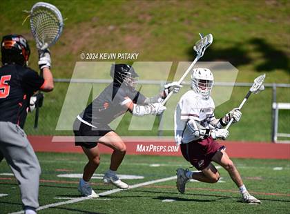Thumbnail 1 in Shelton @ Farmington (CIAC Class L 1st Round) photogallery.