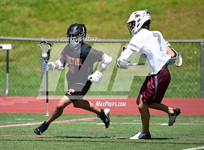 Thumbnail 2 in Shelton @ Farmington (CIAC Class L 1st Round) photogallery.