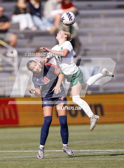 Thumbnail 3 in Green Canyon vs Mountain Crest (UHSAA 4A Semifinal) photogallery.