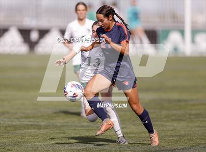 Thumbnail 3 in Green Canyon vs Mountain Crest (UHSAA 4A Semifinal) photogallery.