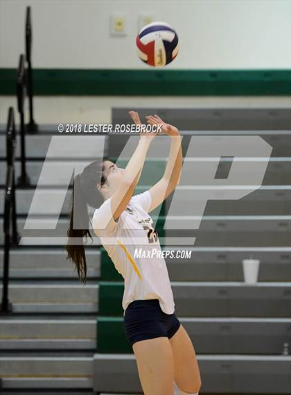 Thumbnail 3 in Poth @ Luling photogallery.