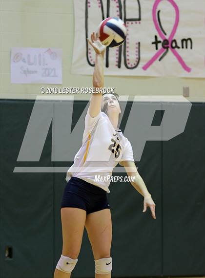 Thumbnail 1 in Poth @ Luling photogallery.