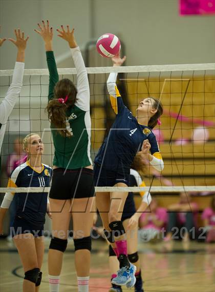 Thumbnail 3 in Oak Ridge @ Ponderosa photogallery.
