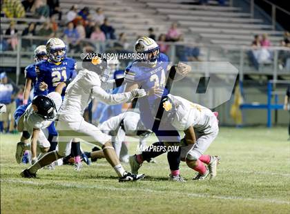 Thumbnail 2 in Maud @ Thackerville photogallery.