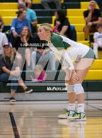 Photo from the gallery "Desert Mountain @ Horizon"