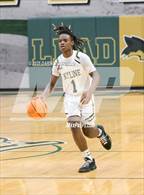 Photo from the gallery "Casteel @ Skyline"