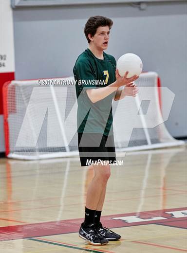 null - Photo 41