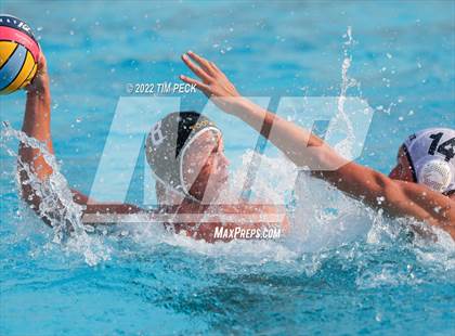 Thumbnail 3 in Newport Harbor @ Foothill photogallery.