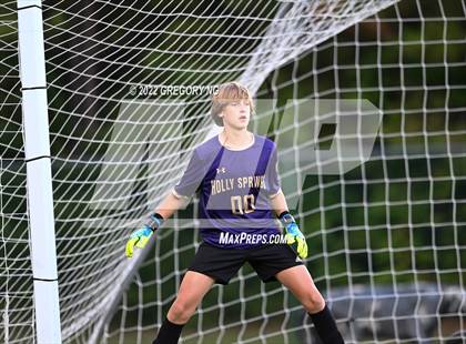 Thumbnail 3 in Holly Springs @ Panther Creek photogallery.