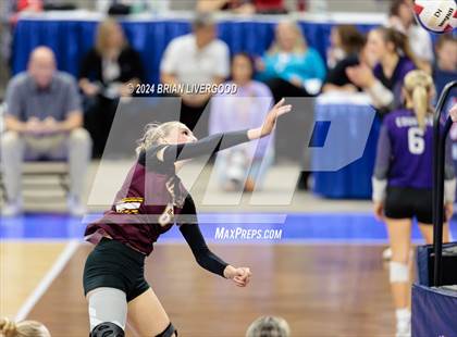 Thumbnail 1 in Eaton vs. Alamosa (CHSAA 3A Round 3) photogallery.