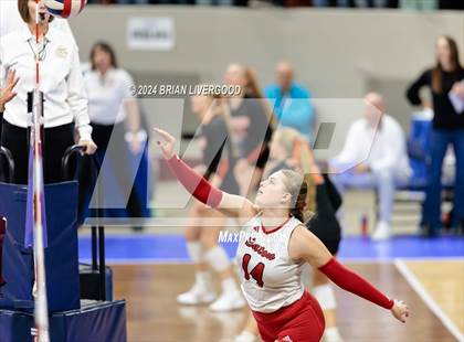 Thumbnail 3 in Eaton vs. Alamosa (CHSAA 3A Round 3) photogallery.