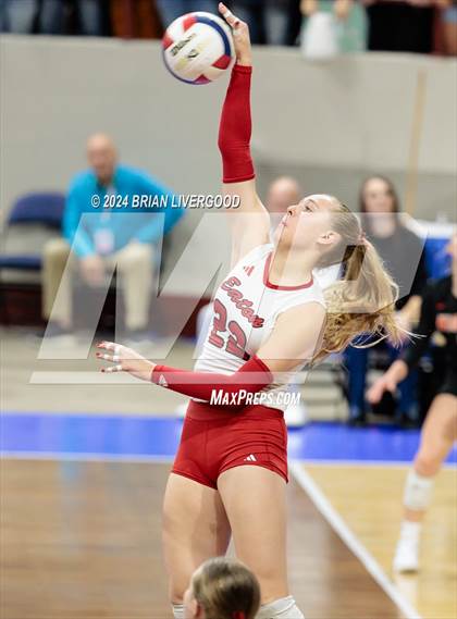Thumbnail 3 in Eaton vs. Alamosa (CHSAA 3A Round 3) photogallery.