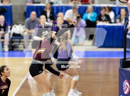Thumbnail 2 in Eaton vs. Alamosa (CHSAA 3A Round 3) photogallery.