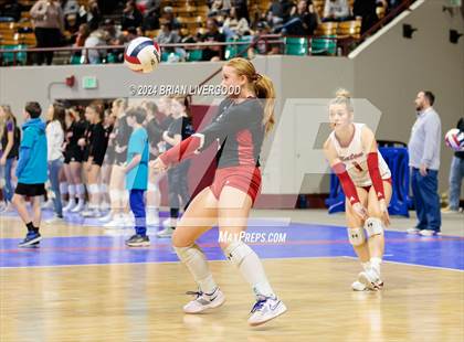 Thumbnail 3 in Eaton vs. Alamosa (CHSAA 3A Round 3) photogallery.