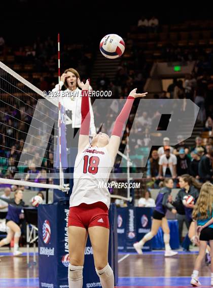 Thumbnail 3 in Eaton vs. Alamosa (CHSAA 3A Round 3) photogallery.
