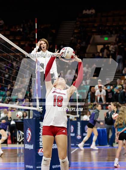 Thumbnail 2 in Eaton vs. Alamosa (CHSAA 3A Round 3) photogallery.