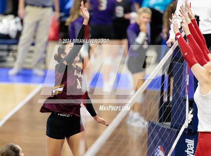 Thumbnail 1 in Eaton vs. Alamosa (CHSAA 3A Round 3) photogallery.