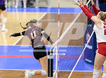 Thumbnail 3 in Eaton vs. Alamosa (CHSAA 3A Round 3) photogallery.