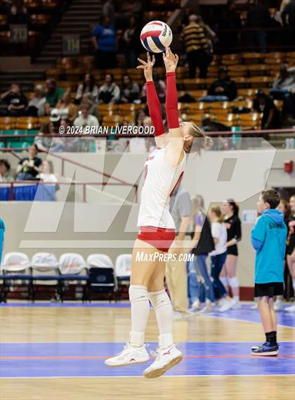 Thumbnail 3 in Eaton vs. Alamosa (CHSAA 3A Round 3) photogallery.