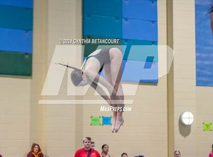 Thumbnail 2 in CHSAA 4A Dive Championships photogallery.